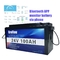 Bluetooth APP 24 tiefer Zyklus Volt-Marine Battery Lithium Iron Phosphates
